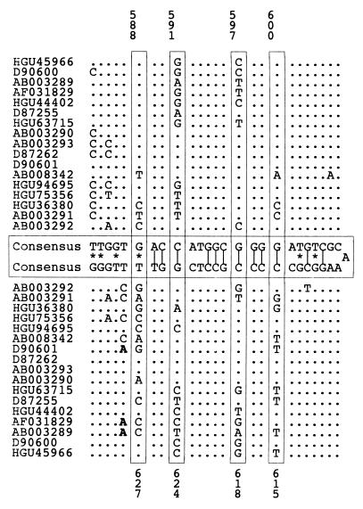 FIG. 5