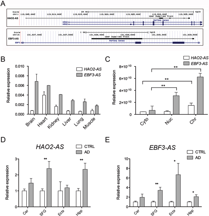 Fig.4