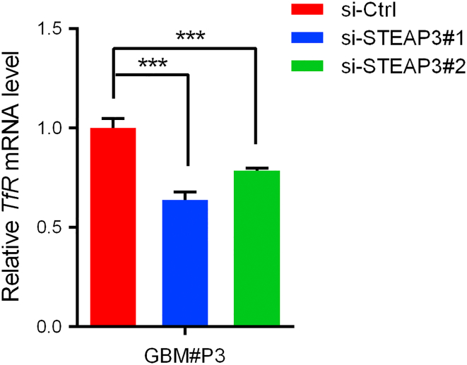 Supplementary Figure S7