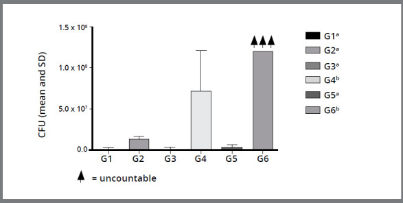 Figure 3: