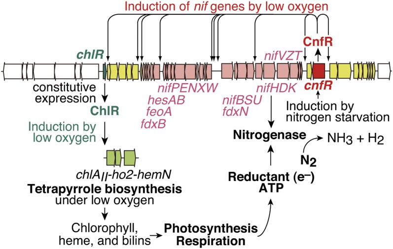 Fig. 5.