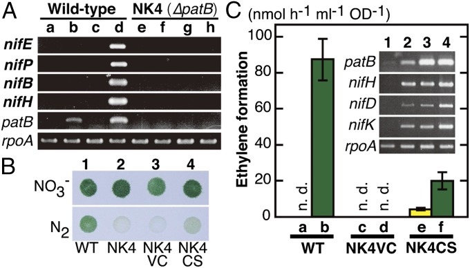 Fig. 4.