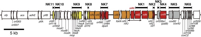 Fig. 1.