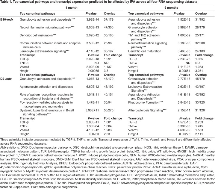 graphic file with name biolopen-13-060542-i1.jpg