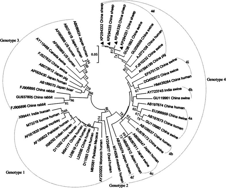 Fig. 2