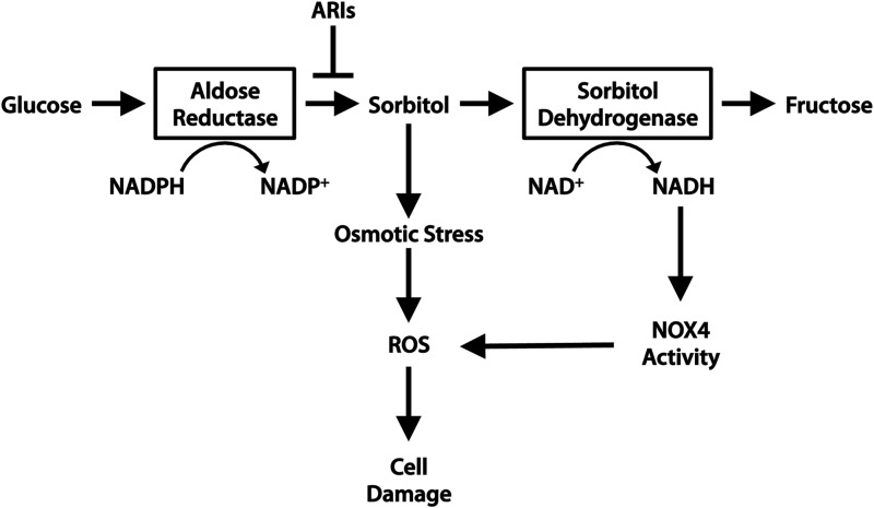 FIG. 7.