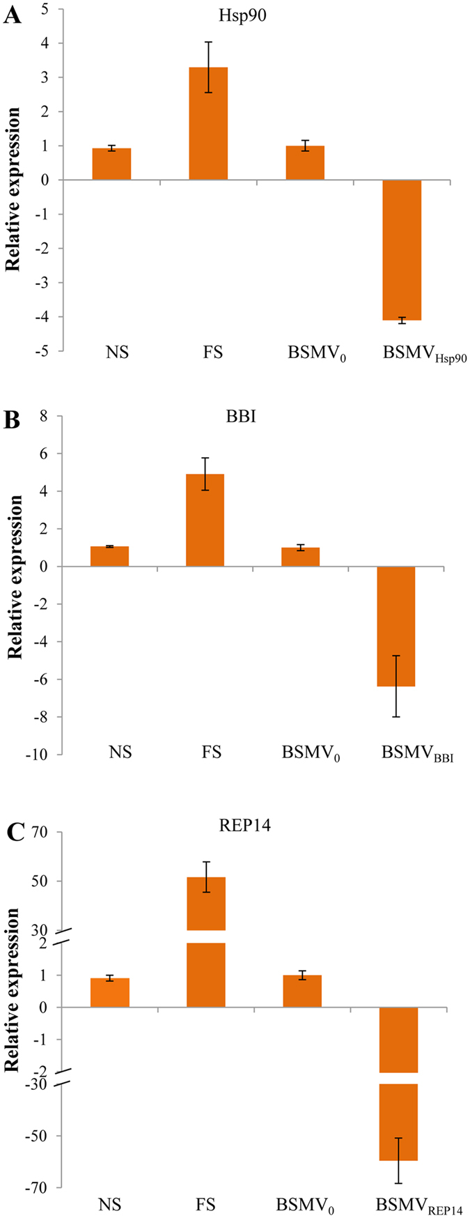 Figure 5