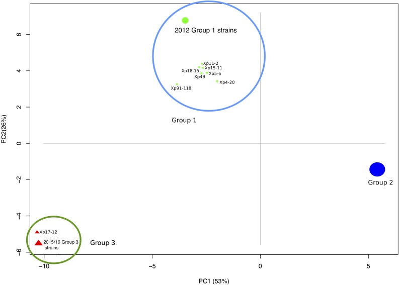 FIGURE 2