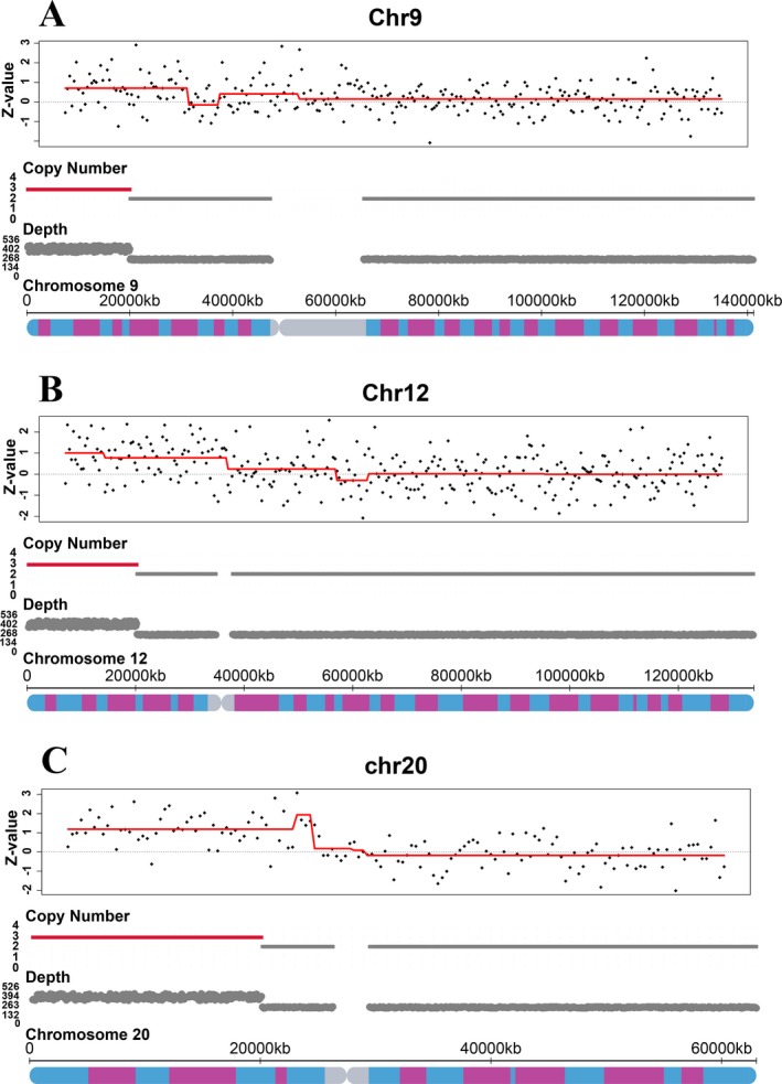 Figure 5