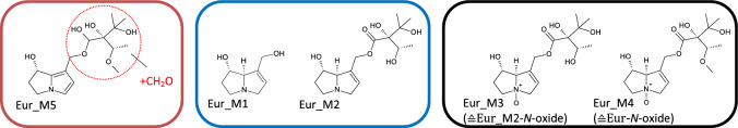 Fig. 8