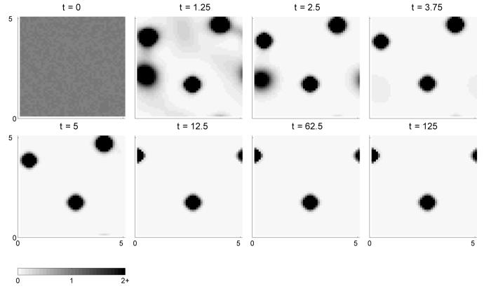 Fig. 10