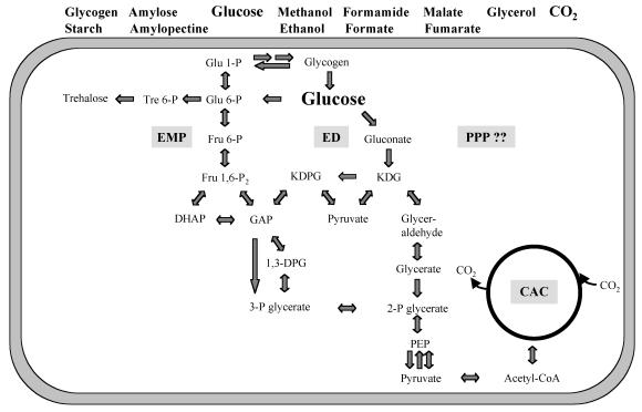 FIG. 4.