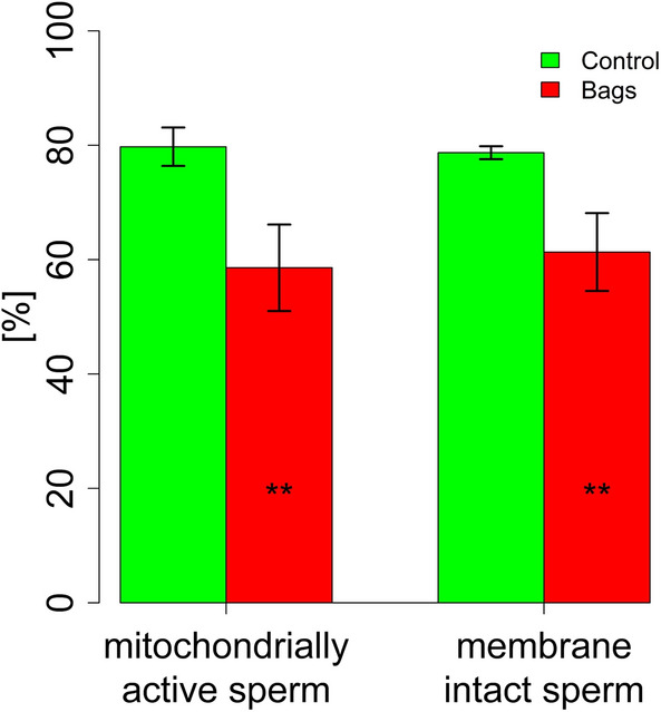 Figure 6