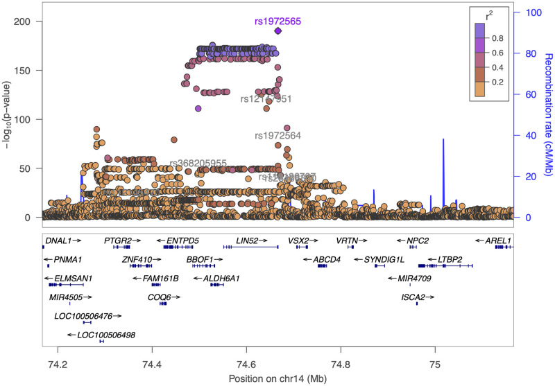 Fig 6