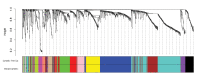 Fig.1