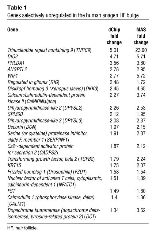 graphic file with name JCI0626043.t1.jpg