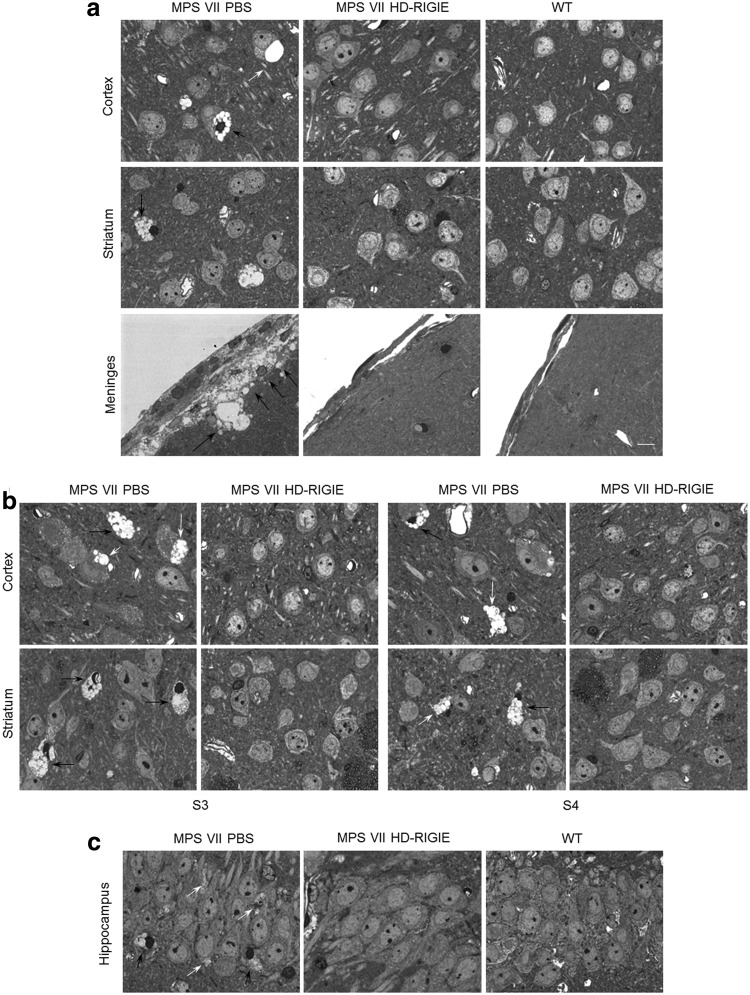 FIG. 5.