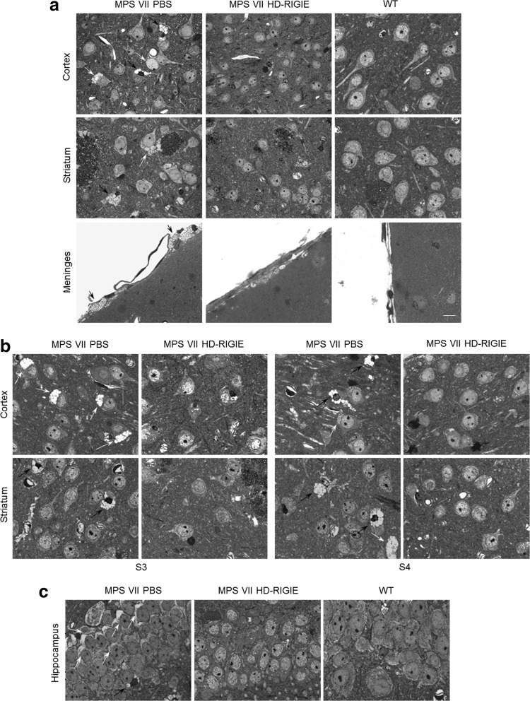 FIG. 4.