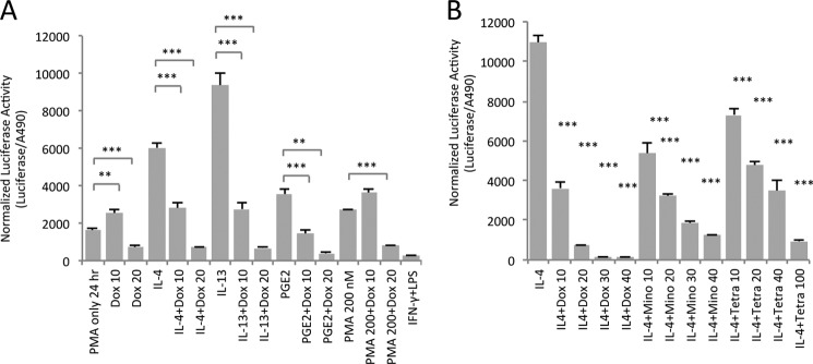 FIGURE 4.