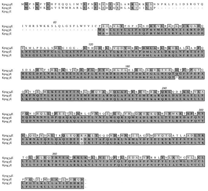 FIG. 6