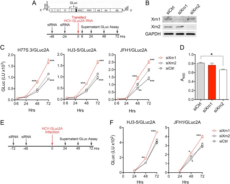 FIG 3