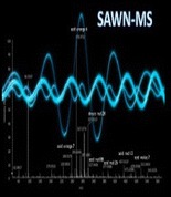 Graphical Abstract