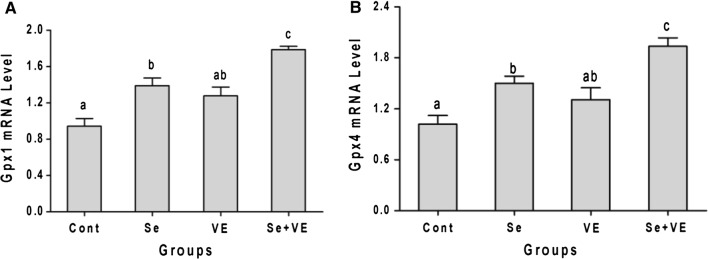 Fig. 3