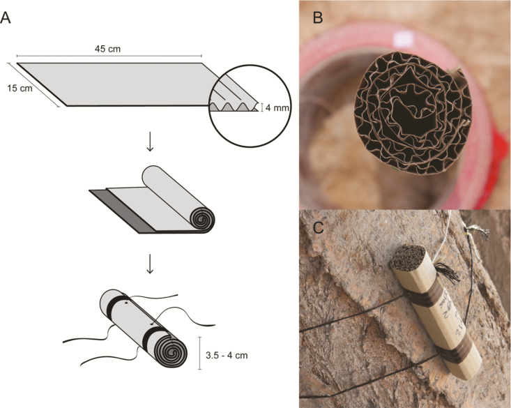 Fig. 1.