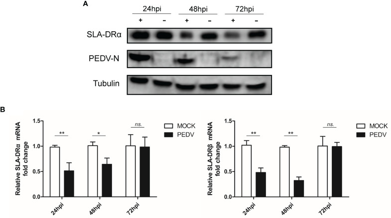 Figure 5