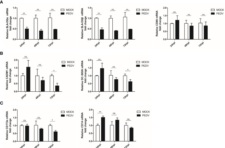 Figure 4