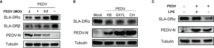 Figure 3