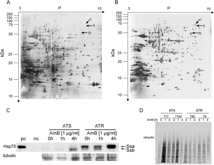 FIG 3