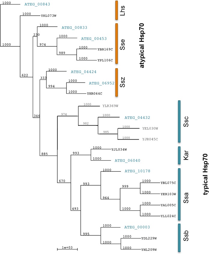 FIG 1