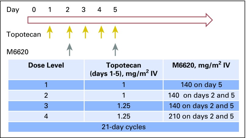 Fig 1.