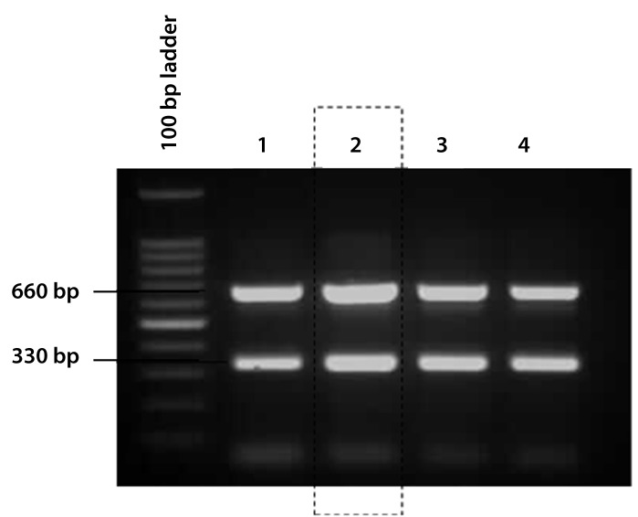 Figure 1c: