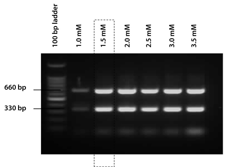 Figure 1b: