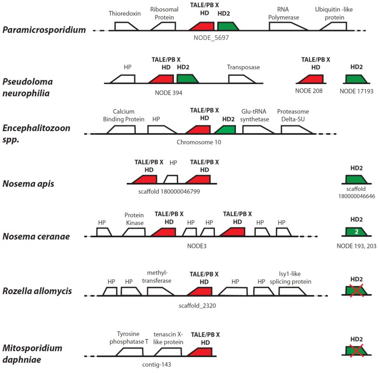 Figure 7—figure supplement 1.