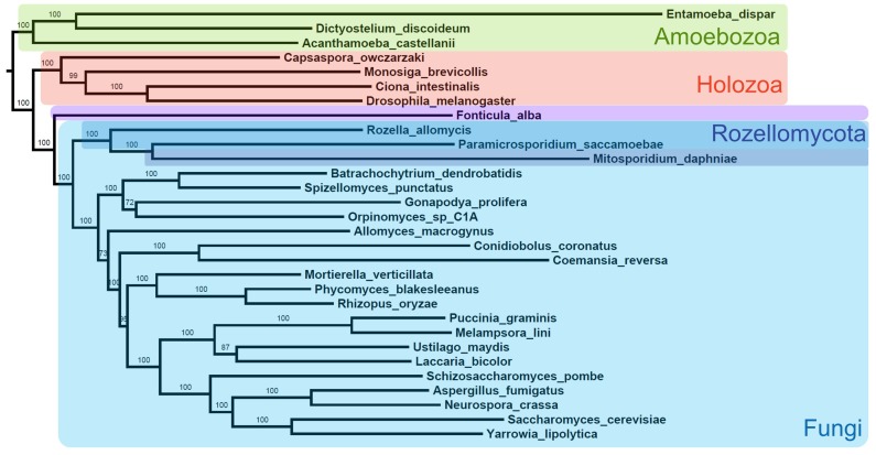 Figure 2—figure supplement 2.