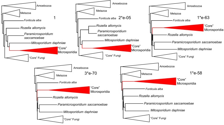 Figure 2—figure supplement 1.