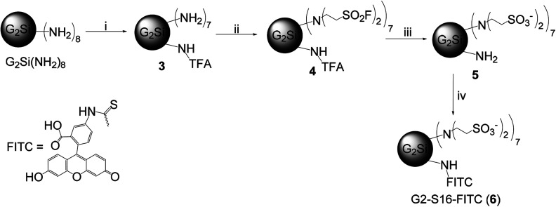 Scheme 2