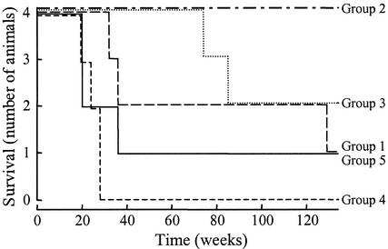 FIG. 3.