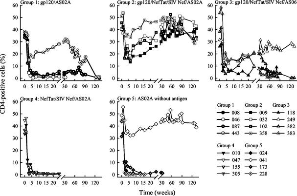 FIG. 2.