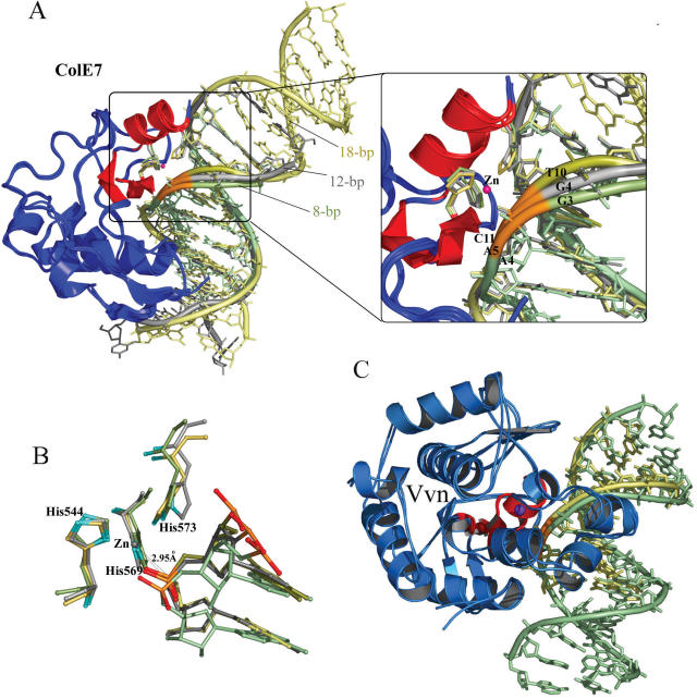 Figure 5