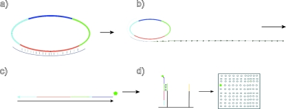 FIG. 1.