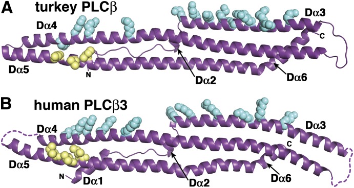 Fig. 4.