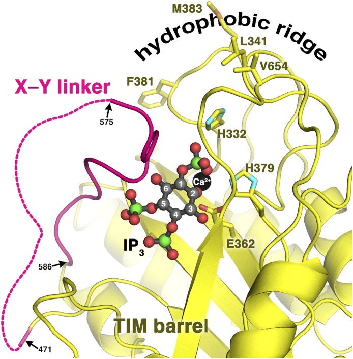 Fig. 3.