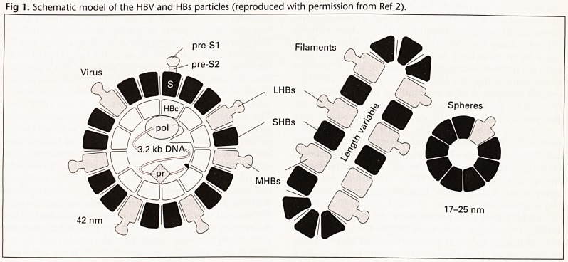 Fig 1.