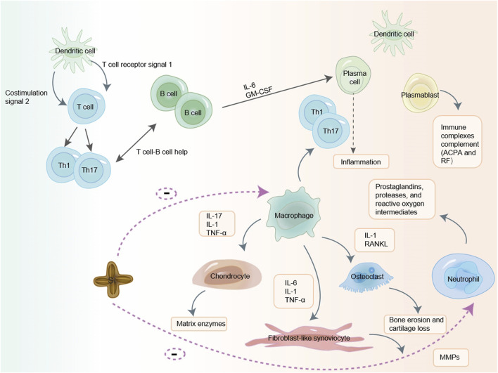 FIGURE 4