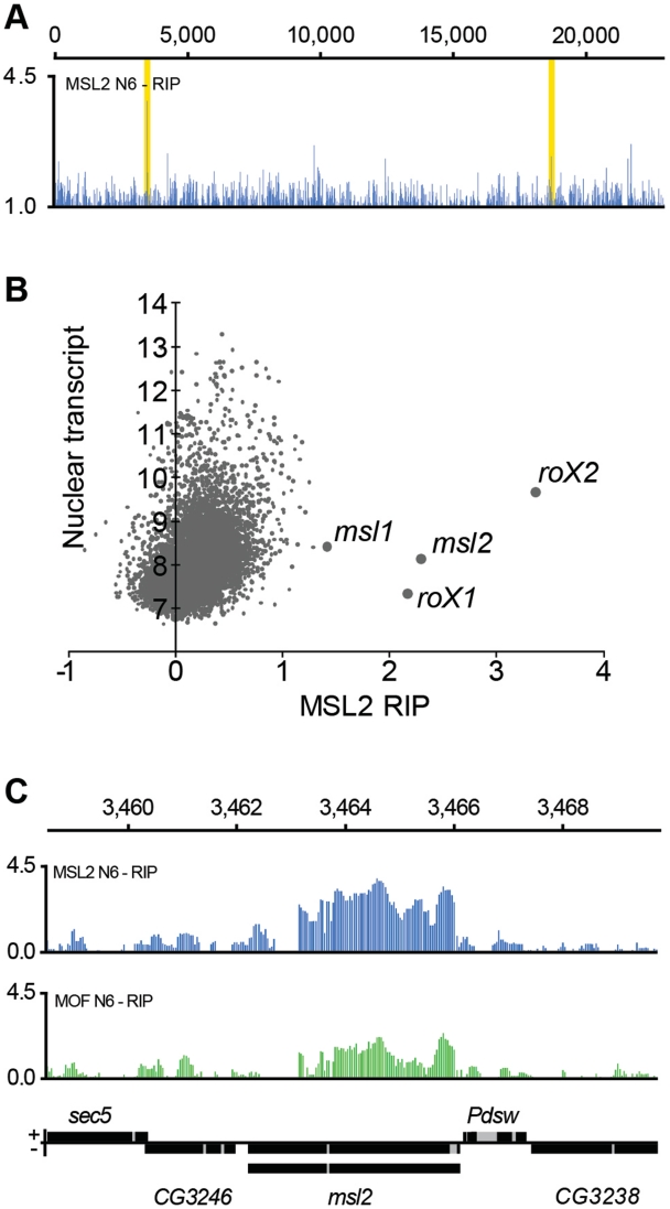 Figure 3.