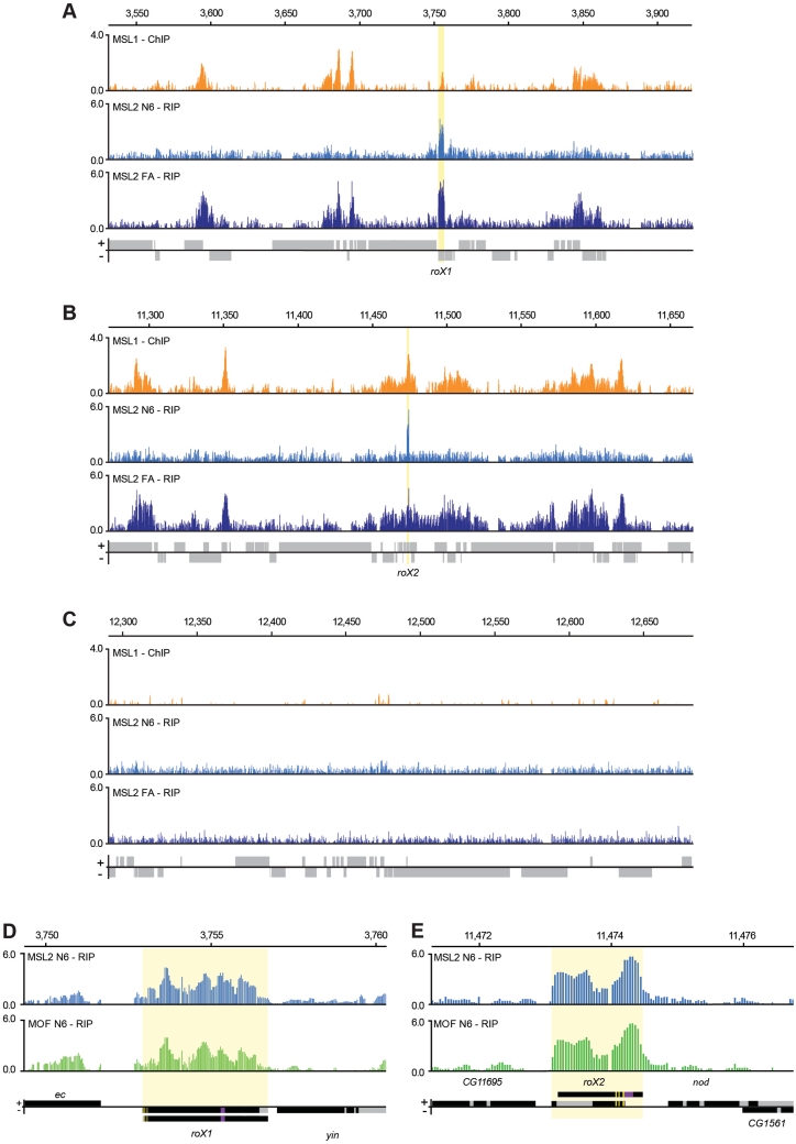 Figure 2.